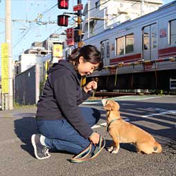 社会化トレーニング！