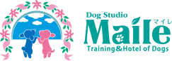 Dog Studio Maile（ドッグ　スタジオ　マイレ）