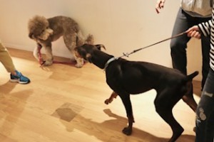 image3 (1)