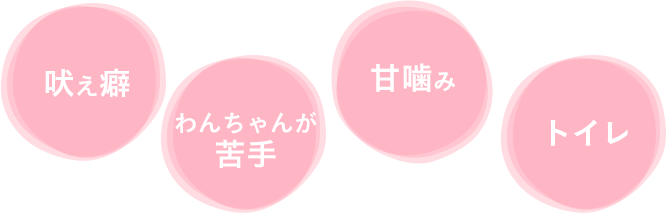 吠え癖 わんちゃんが苦手 甘噛み トイレ