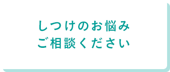 しつけのお悩みご相談ください