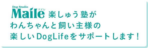 Maile楽しゅう塾がわんちゃんと飼い主様の楽しいDogLifeをサポートします！