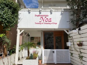 noa_img001