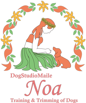 姉妹店 DogStudioMaile Noa