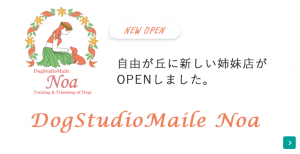 sp_maile_noa_bnr